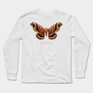 Moth - Giant Silk Moth, Rhescyntis Romulus, Rhescyntis Romulus Maassen, Caio Romulus Long Sleeve T-Shirt